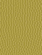 Aman Colors(13)