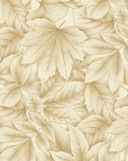 Aman Colors(1)