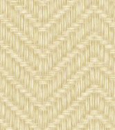 Aman Colors(3)