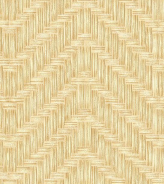 Aman Colors(3)