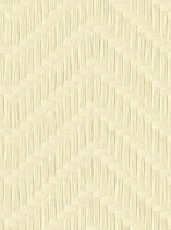 Aman Colors(3)