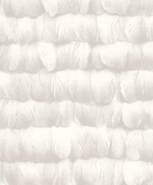 Plain2(15)