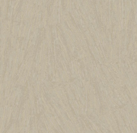 A Van Gogh color(4)