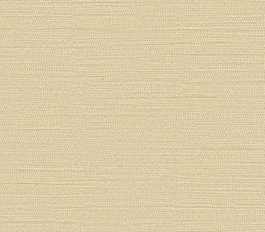 A Van Gogh color(7)