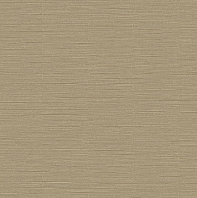 A Van Gogh color(7)