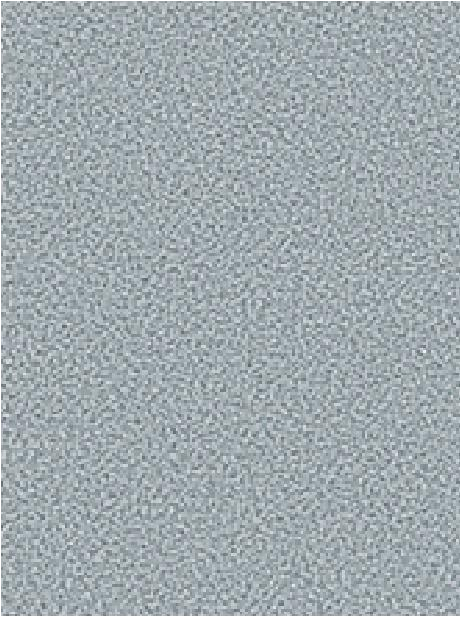 VOSSENFROTTIERV    5