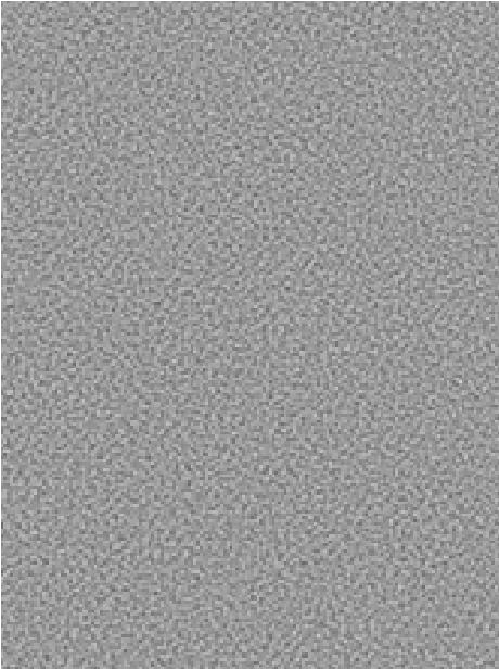 VOSSENFROTTIERV    5