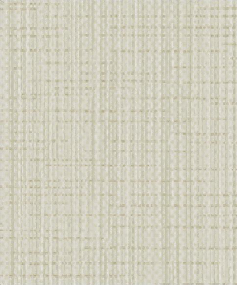Hyatt2 （6）