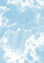 Lorna Syson 12