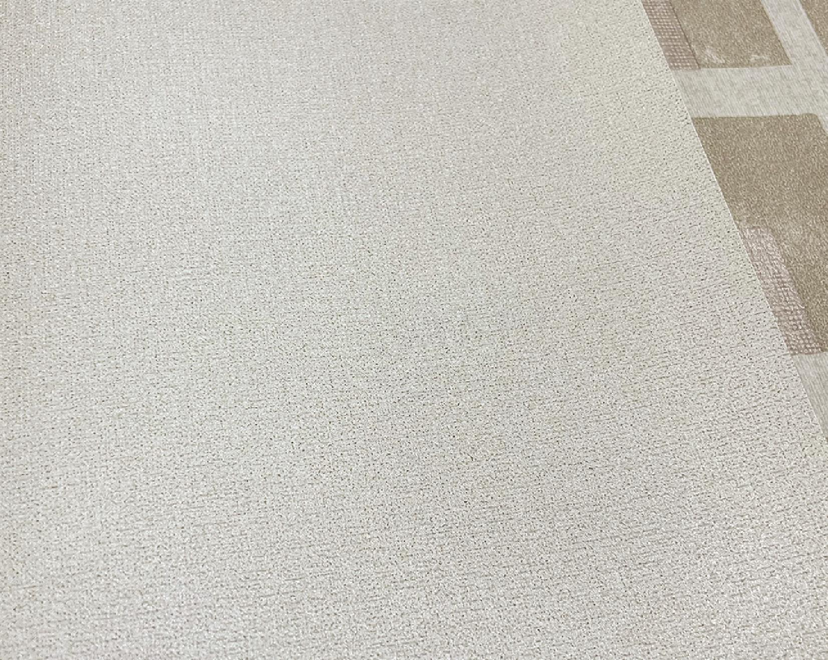 Hyatt2 （3）